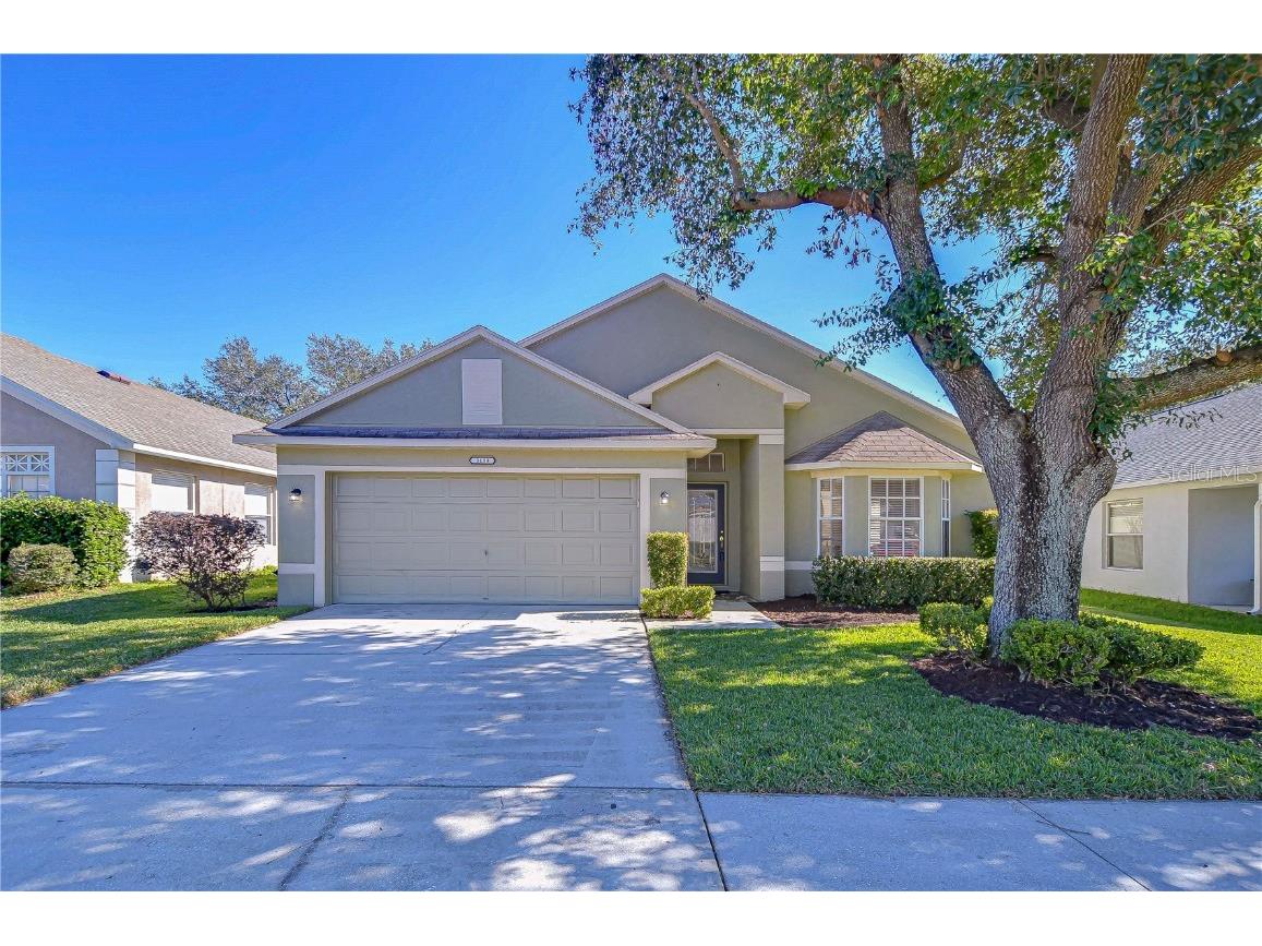 3133 Beaver Pond Trail Valrico FL 33596 TB8349349 image1