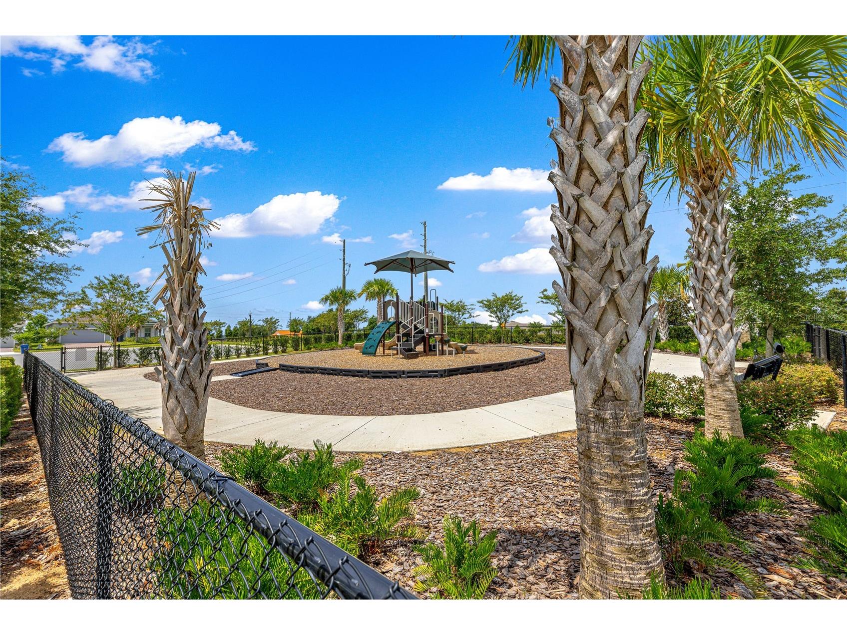 3133 Hill Point Street Minneola FL 34715 G5115106 image36