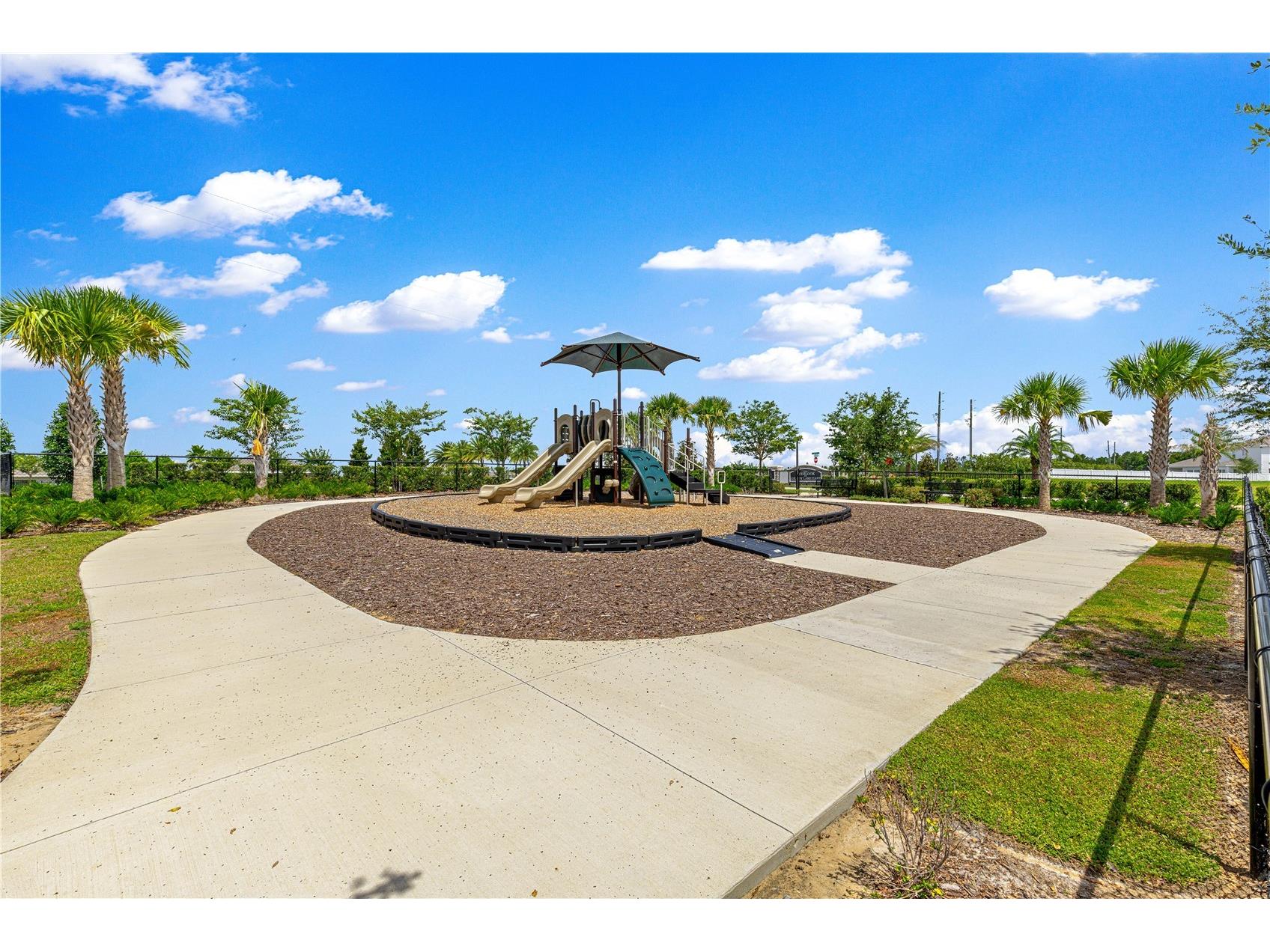 3133 Hill Point Street Minneola FL 34715 G5115106 image38