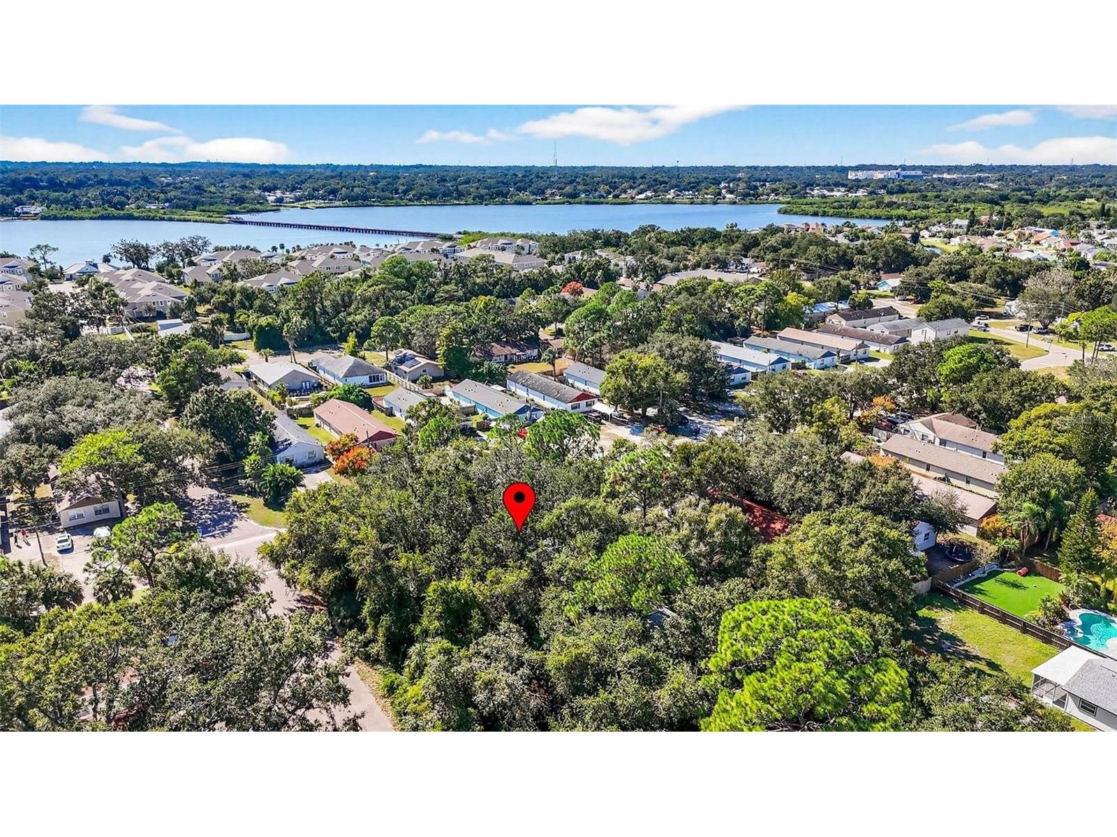 3133 Huron Avenue Oldsmar FL 34677 TB8512032 image15