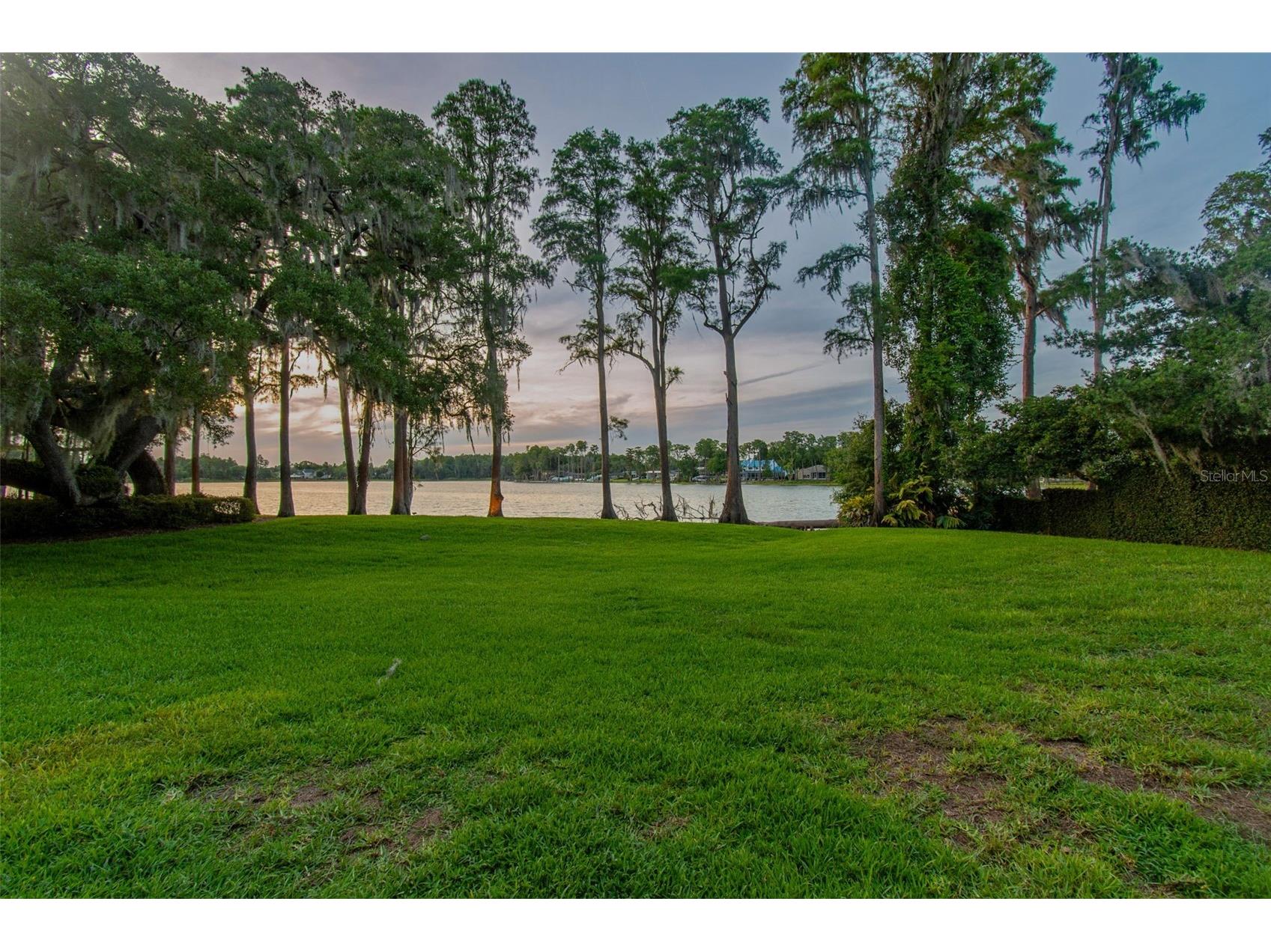 3133 Lake Ellen Drive #3133 Tampa FL 33618 - Lake Ellen TB8507757 image44