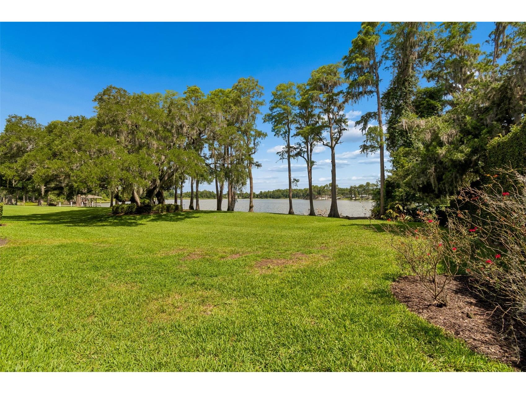 3133 Lake Ellen Drive #3133 Tampa FL 33618 - Lake Ellen TB8507757 image66