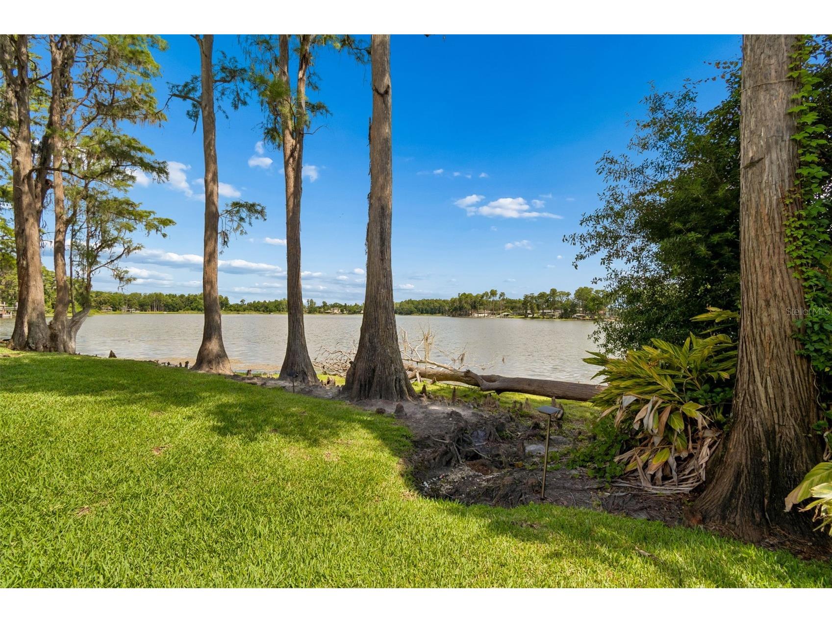 3133 Lake Ellen Drive #3133 Tampa FL 33618 - Lake Ellen TB8507757 image67