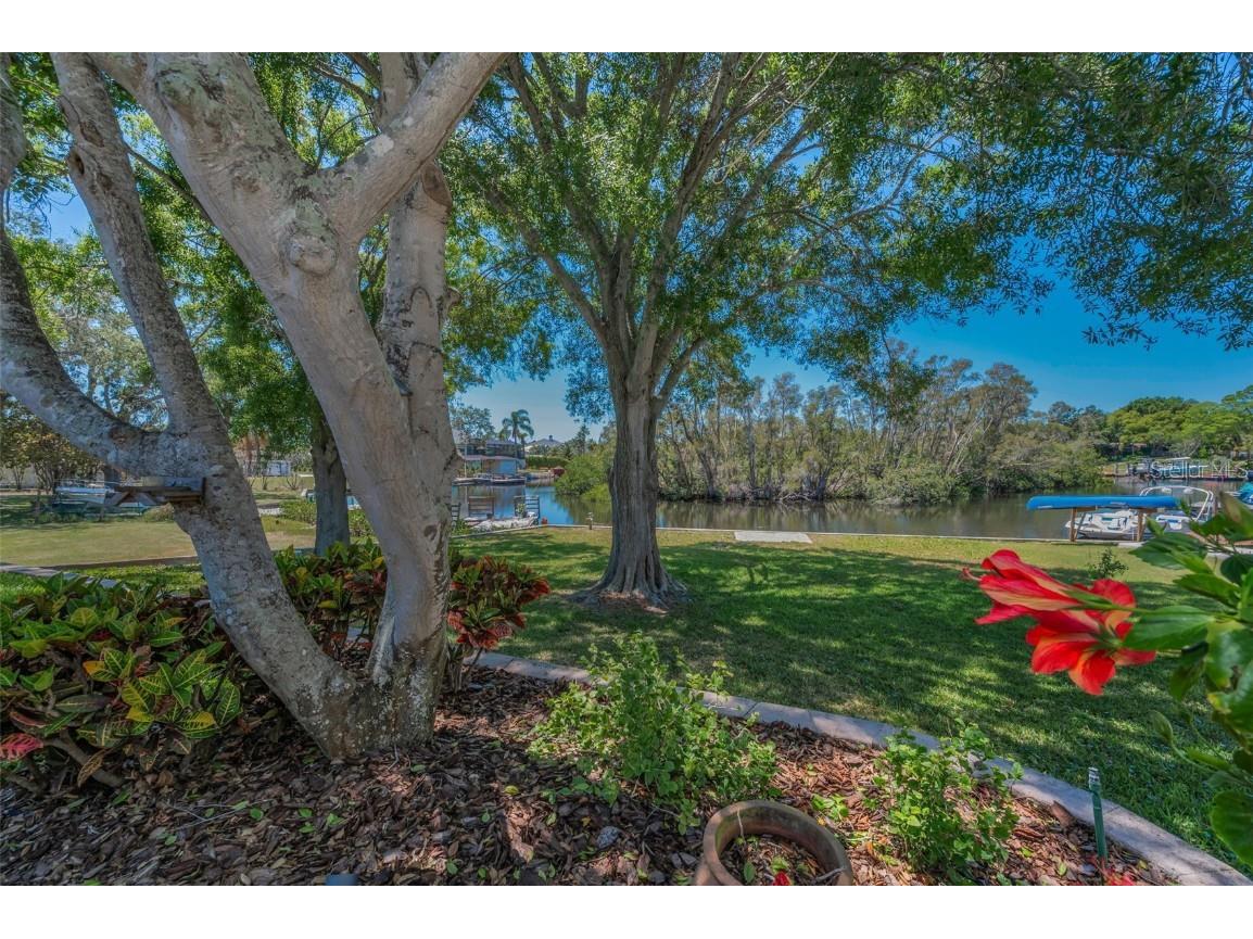 3133 Pineview Drive Holiday FL 34691 - Rocky Creek TB8376764 image1