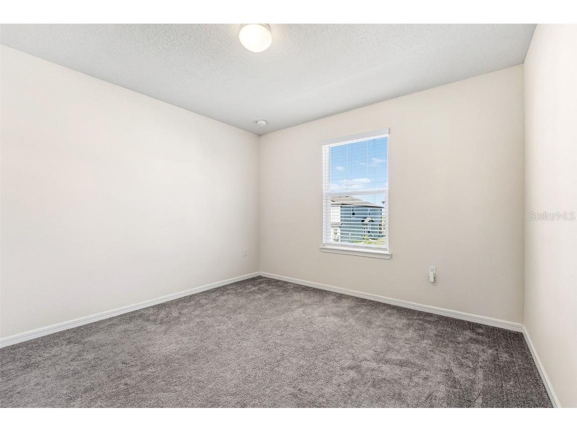 31332 Amberview Bend Wesley Chapel FL 33545 TB8452149 image21