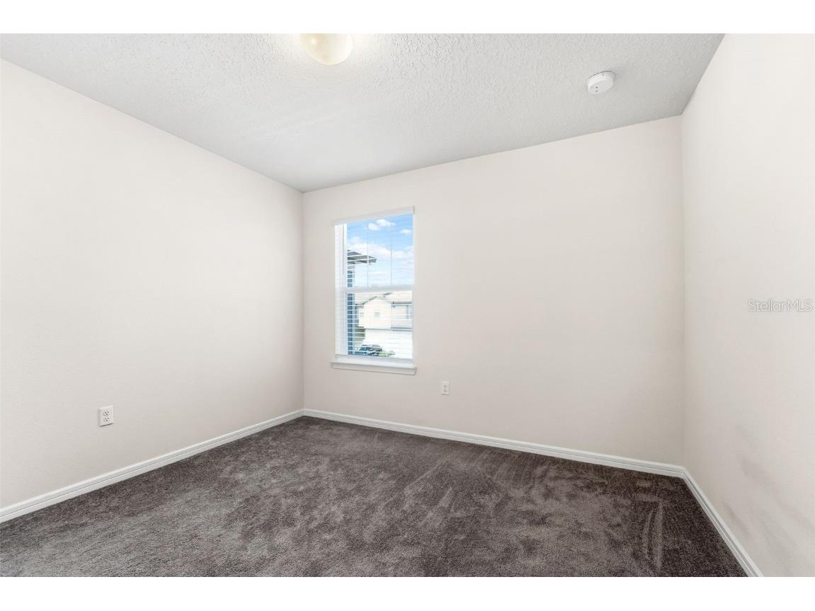 31332 Amberview Bend Wesley Chapel FL 33545 TB8452149 image24