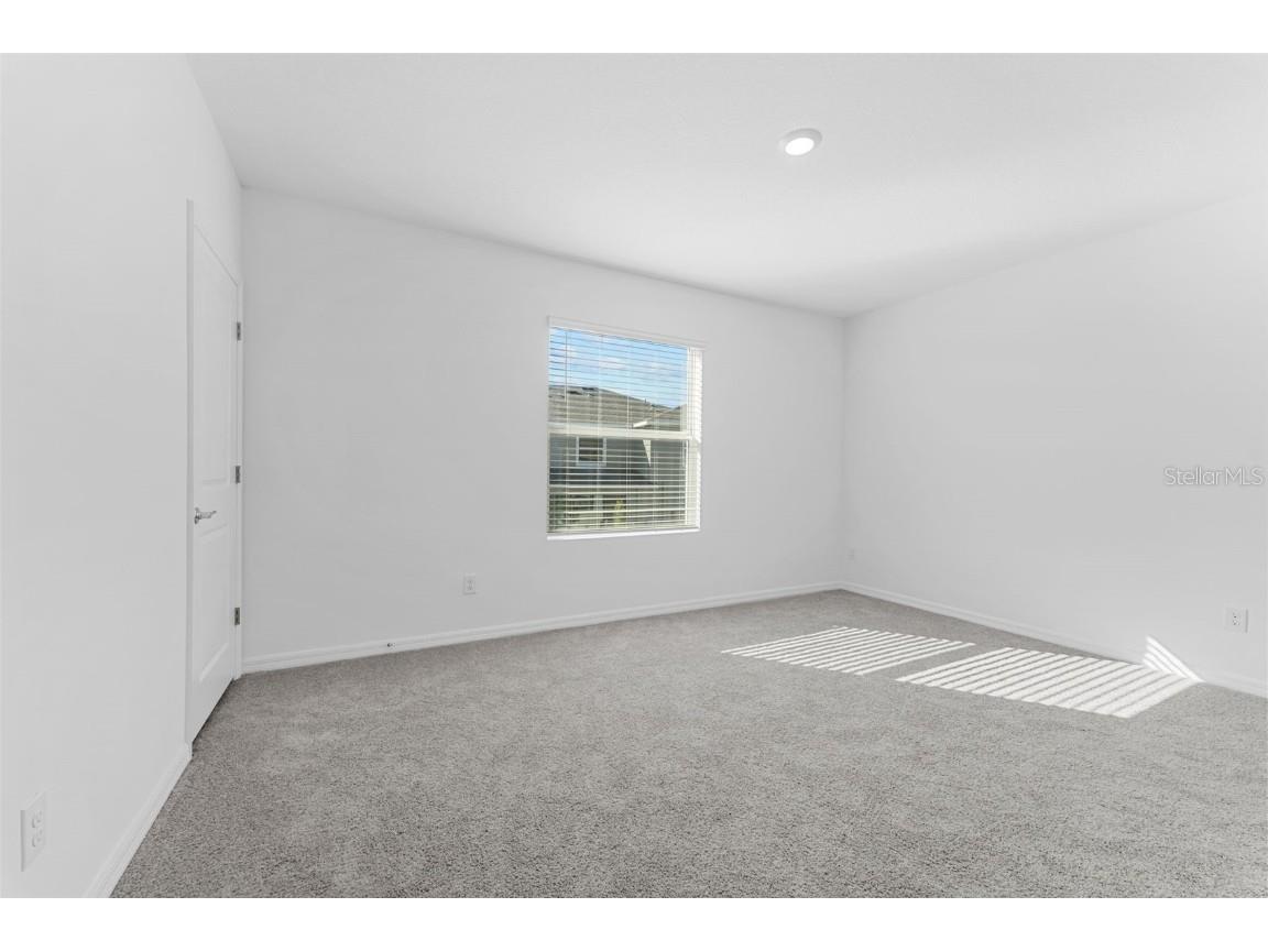 31336 Paper Birch Street Wesley Chapel FL 33545 TB8400378 image11