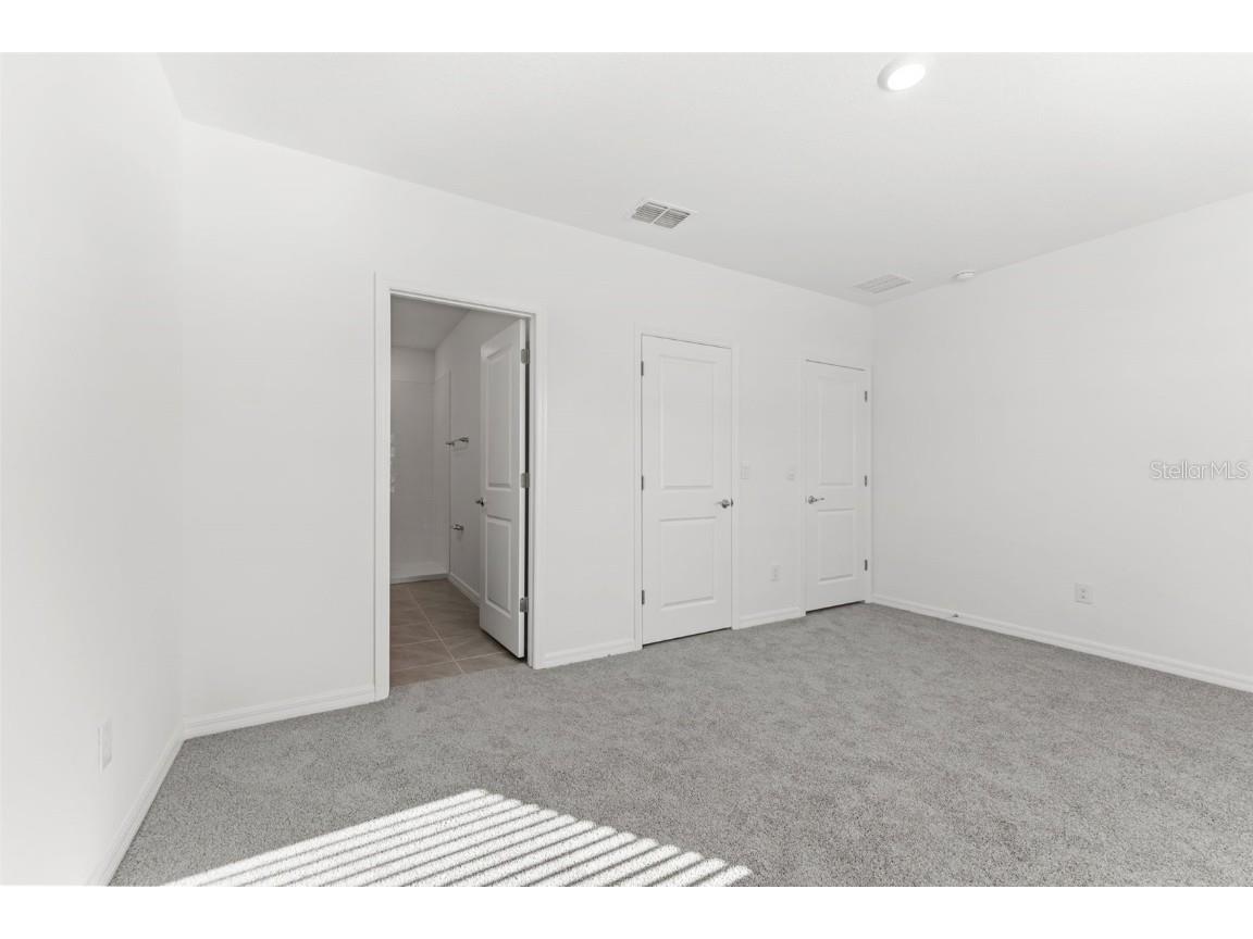 31336 Paper Birch Street Wesley Chapel FL 33545 TB8400378 image13