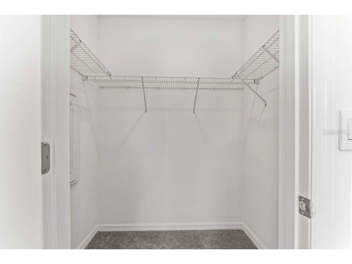 31336 Paper Birch Street Wesley Chapel FL 33545 TB8400378 image16