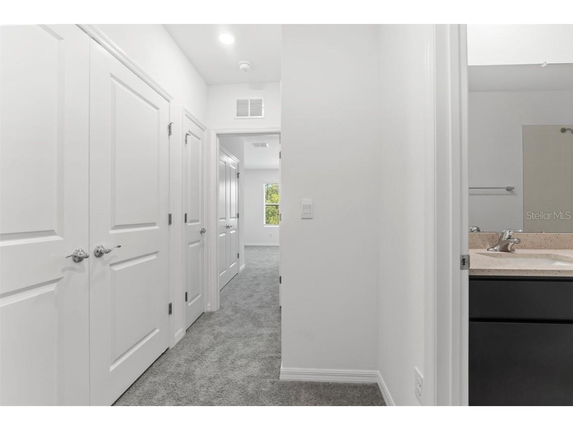 31336 Paper Birch Street Wesley Chapel FL 33545 TB8400378 image18