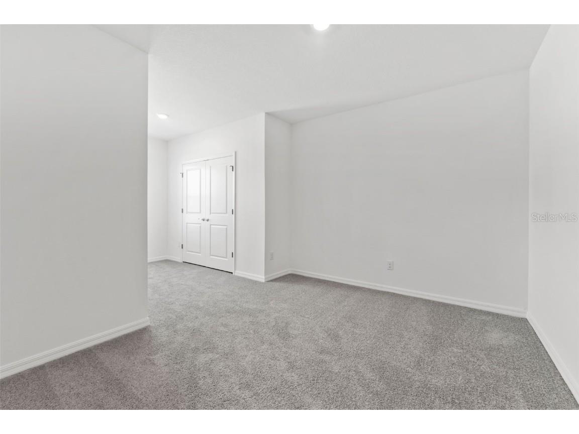 31336 Paper Birch Street Wesley Chapel FL 33545 TB8400378 image19