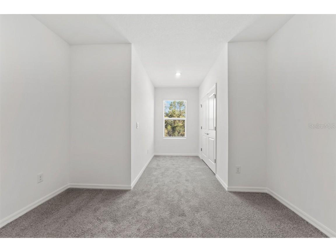 31336 Paper Birch Street Wesley Chapel FL 33545 TB8400378 image20