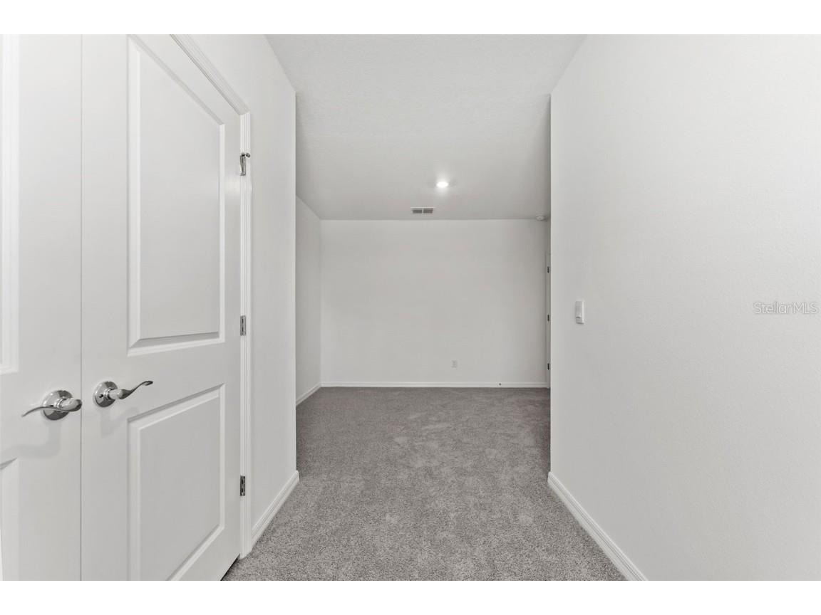 31336 Paper Birch Street Wesley Chapel FL 33545 TB8400378 image23