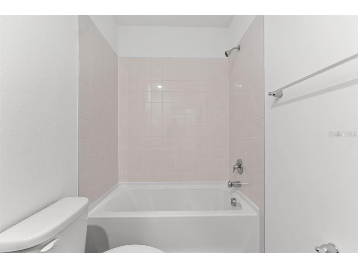 31336 Paper Birch Street Wesley Chapel FL 33545 TB8400378 image25