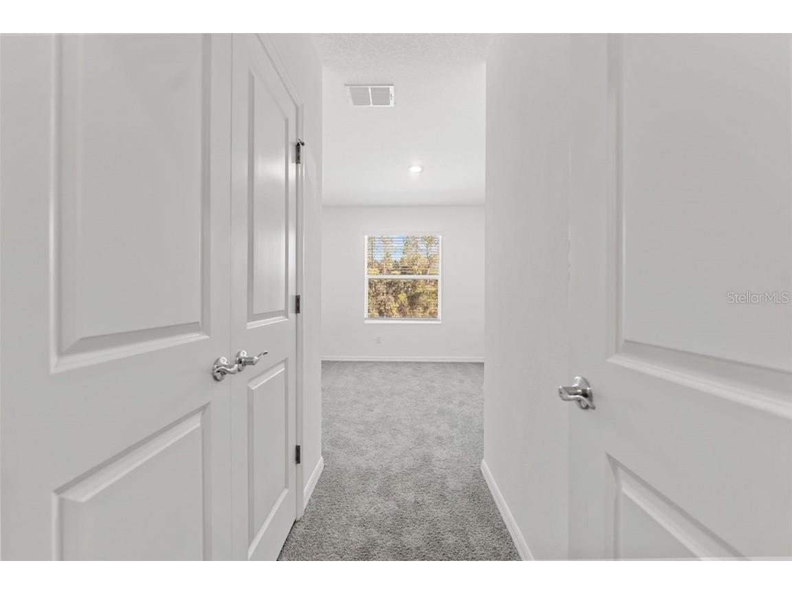 31336 Paper Birch Street Wesley Chapel FL 33545 TB8400378 image26