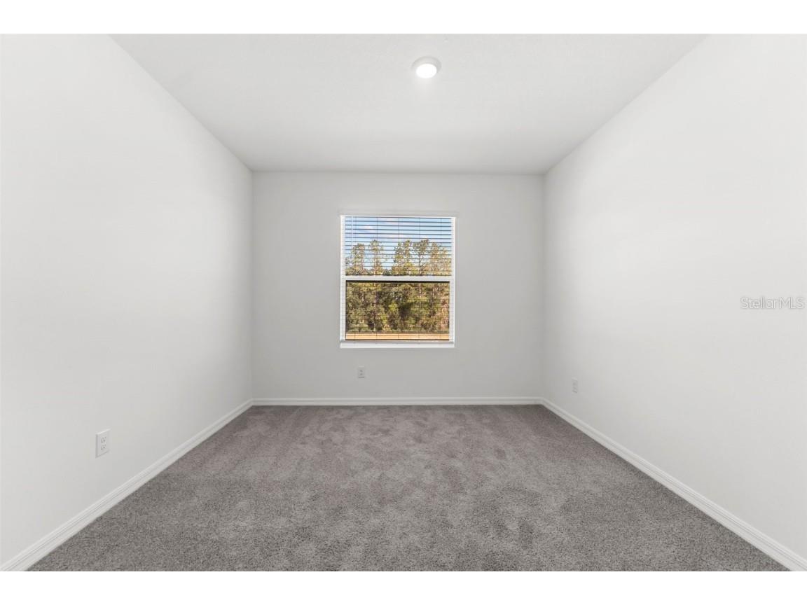 31336 Paper Birch Street Wesley Chapel FL 33545 TB8400378 image27