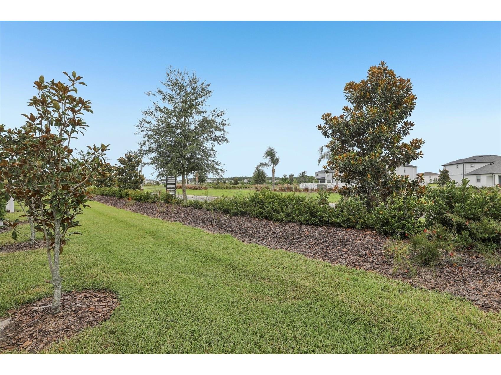31337 Amberview Bend Wesley Chapel FL 33545 TB8522993 image20
