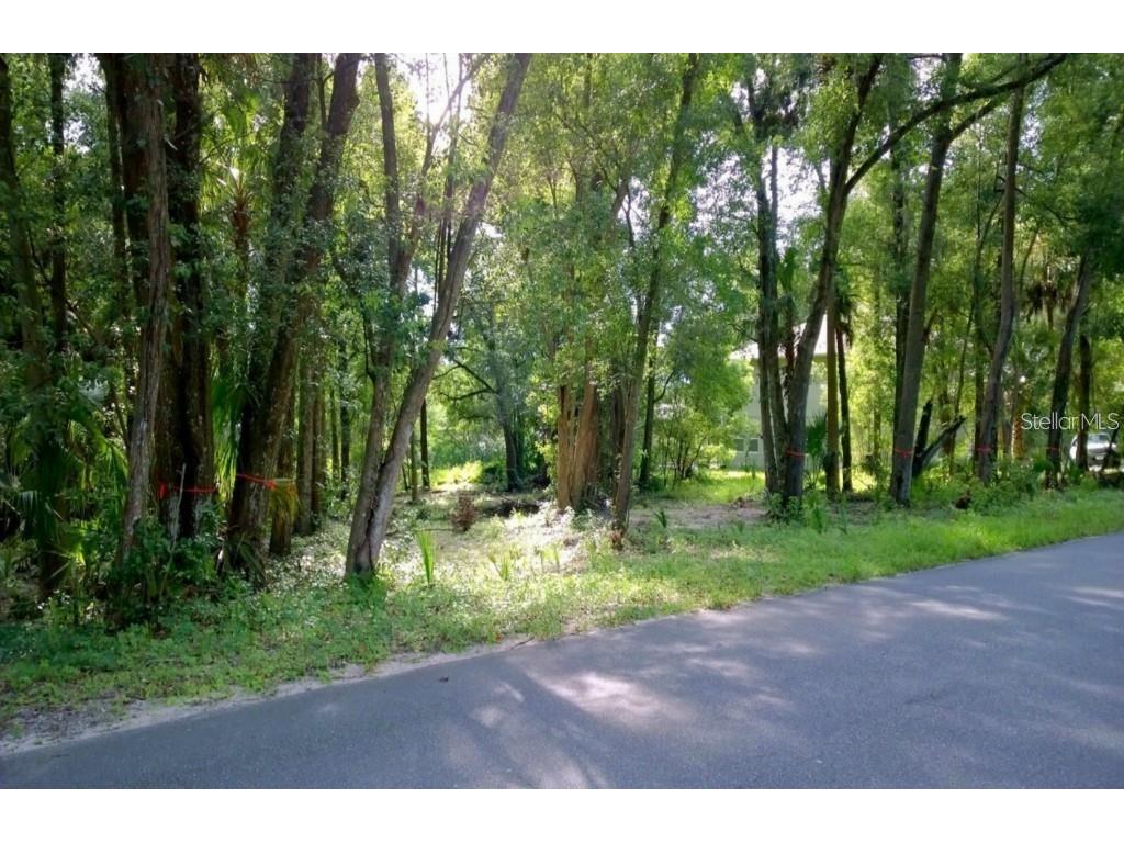 31339 Westward Ho Avenue Sorrento FL 32776 O6291502 image1