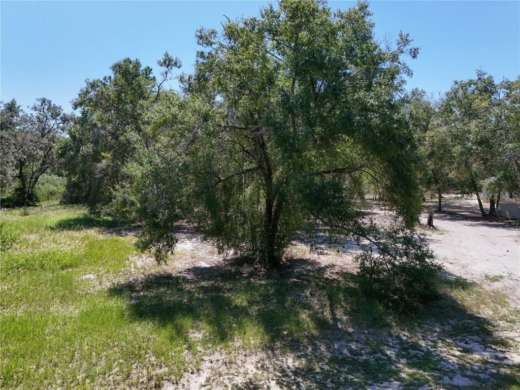 3134 Bright Lake Circle Leesburg FL 34748 - Clearwater Lake G5102838 image15