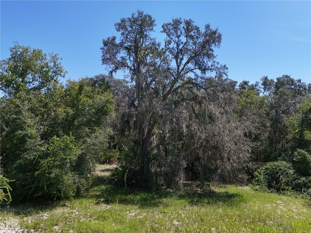 3134 Bright Lake Circle Leesburg FL 34748 - Clearwater Lake G5102838 image16