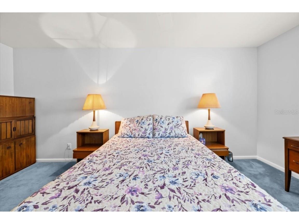 3134 Eagles Landing Circle W #3134 Clearwater FL 33761 TB8453116 image25