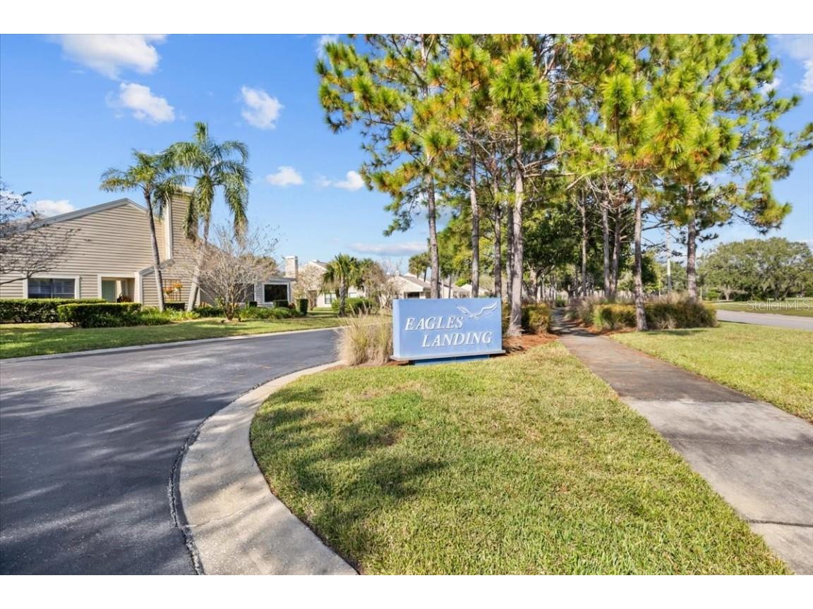 3134 Eagles Landing Circle W #3134 Clearwater FL 33761 TB8453116 image40