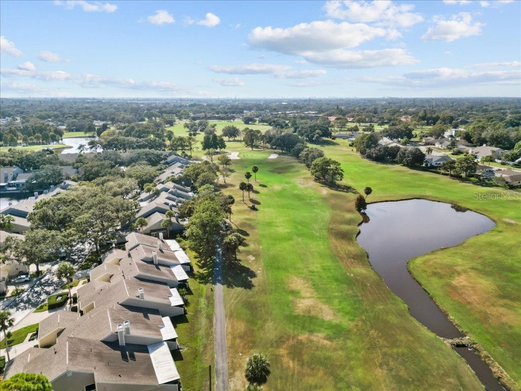 3134 Eagles Landing Circle W #3134 Clearwater FL 33761 TB8453116 image43