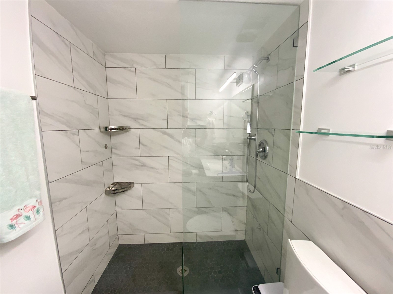 3134 Lake Pine Way #C2 Tarpon Springs FL 34688 TB8524810 image16