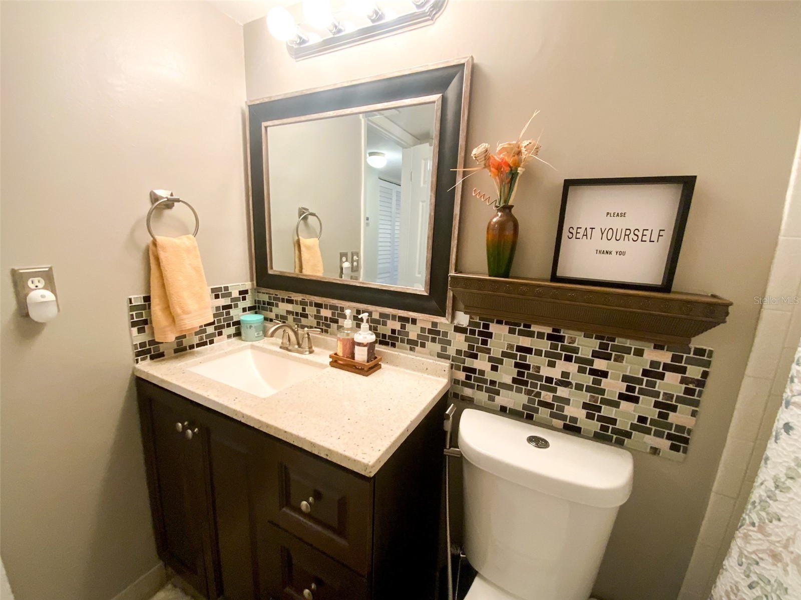 3134 Lake Pine Way #C2 Tarpon Springs FL 34688 TB8524810 image22