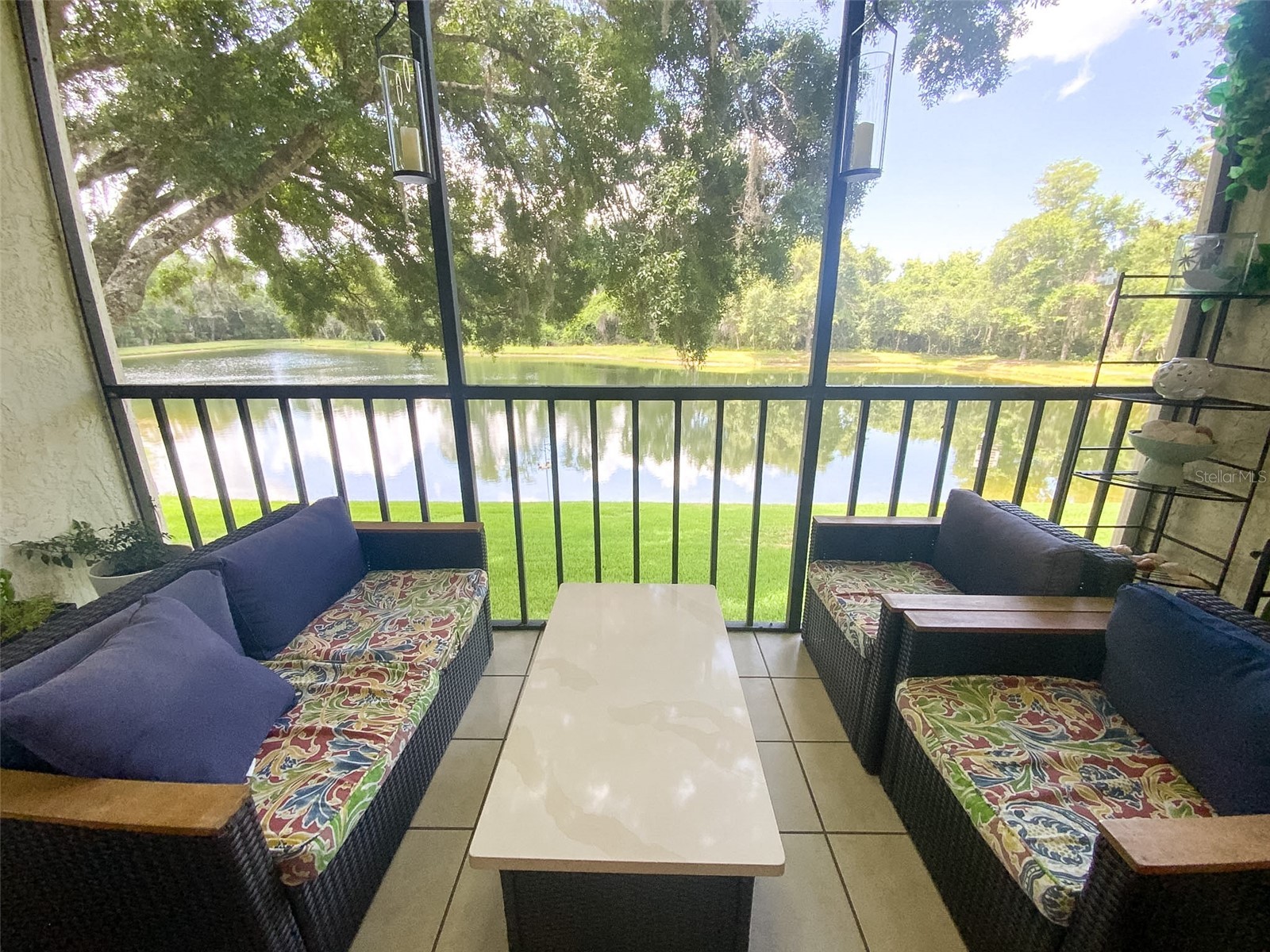 3134 Lake Pine Way #C2 Tarpon Springs FL 34688 TB8524810 image23