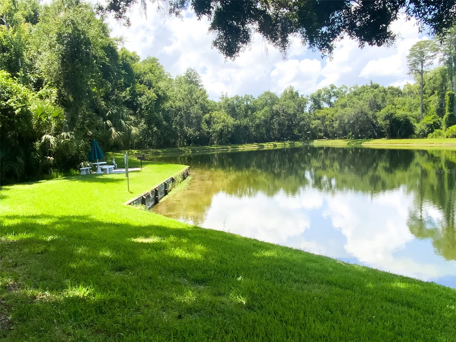 3134 Lake Pine Way #C2 Tarpon Springs FL 34688 TB8524810 image26