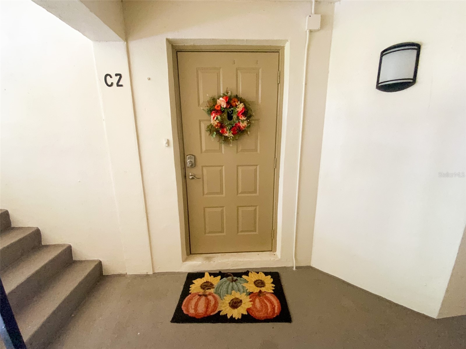 3134 Lake Pine Way #C2 Tarpon Springs FL 34688 TB8524810 image29