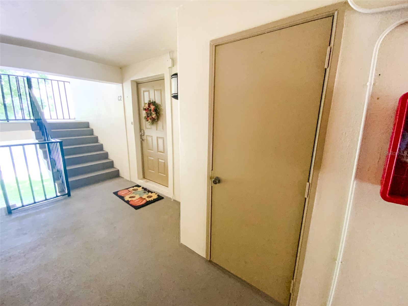 3134 Lake Pine Way #C2 Tarpon Springs FL 34688 TB8524810 image30