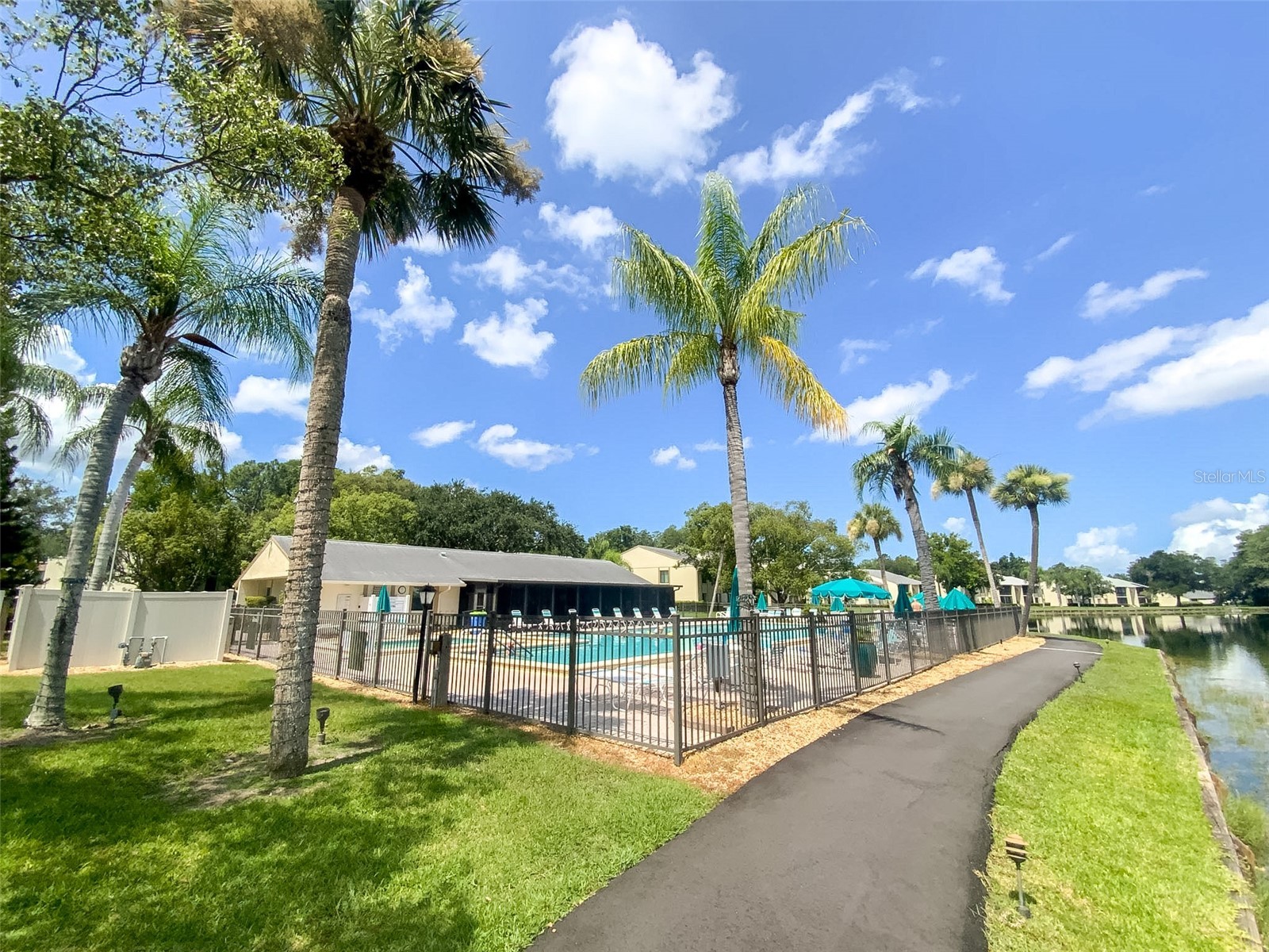 3134 Lake Pine Way #C2 Tarpon Springs FL 34688 TB8524810 image31