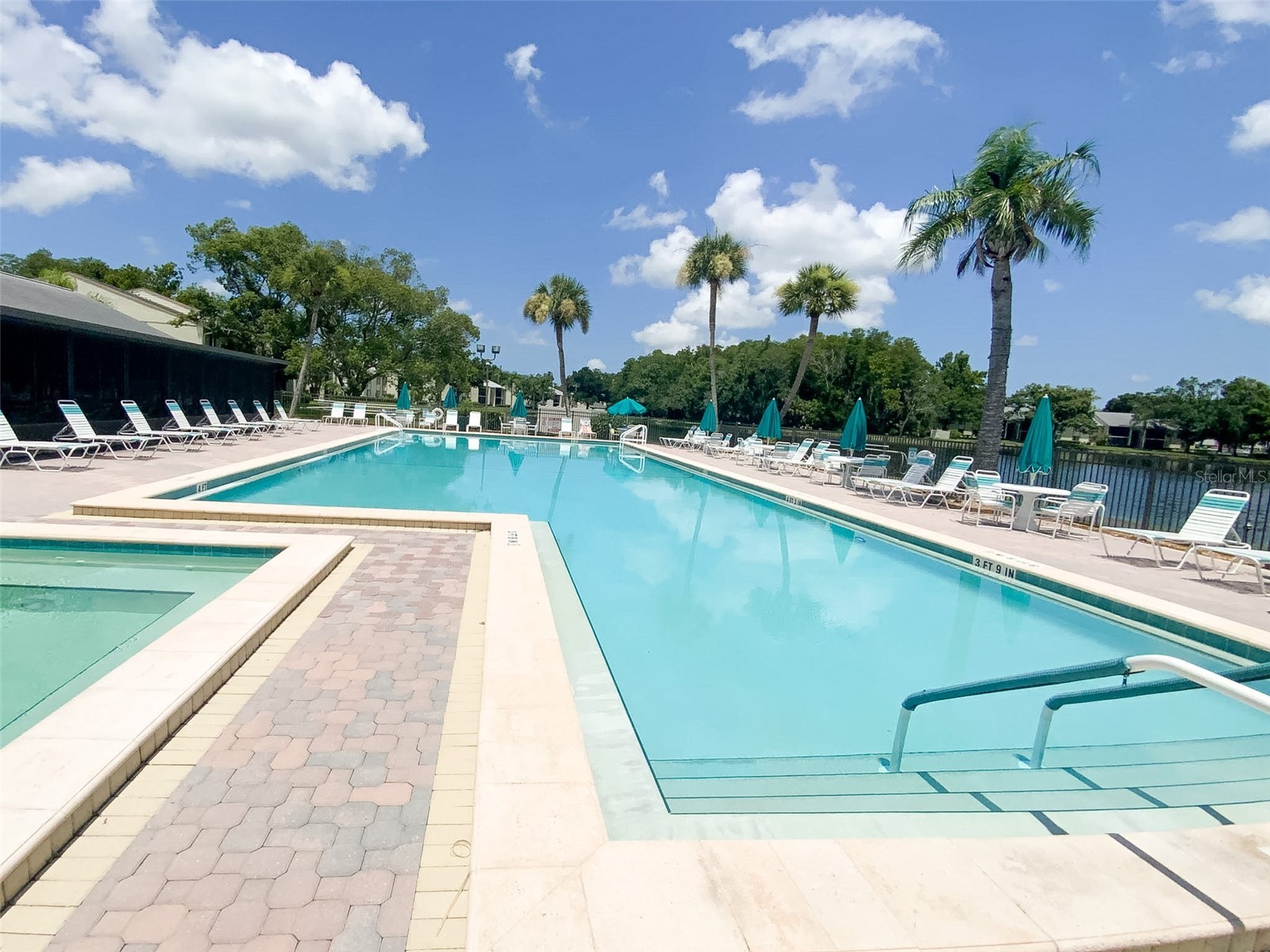 3134 Lake Pine Way #C2 Tarpon Springs FL 34688 TB8524810 image32