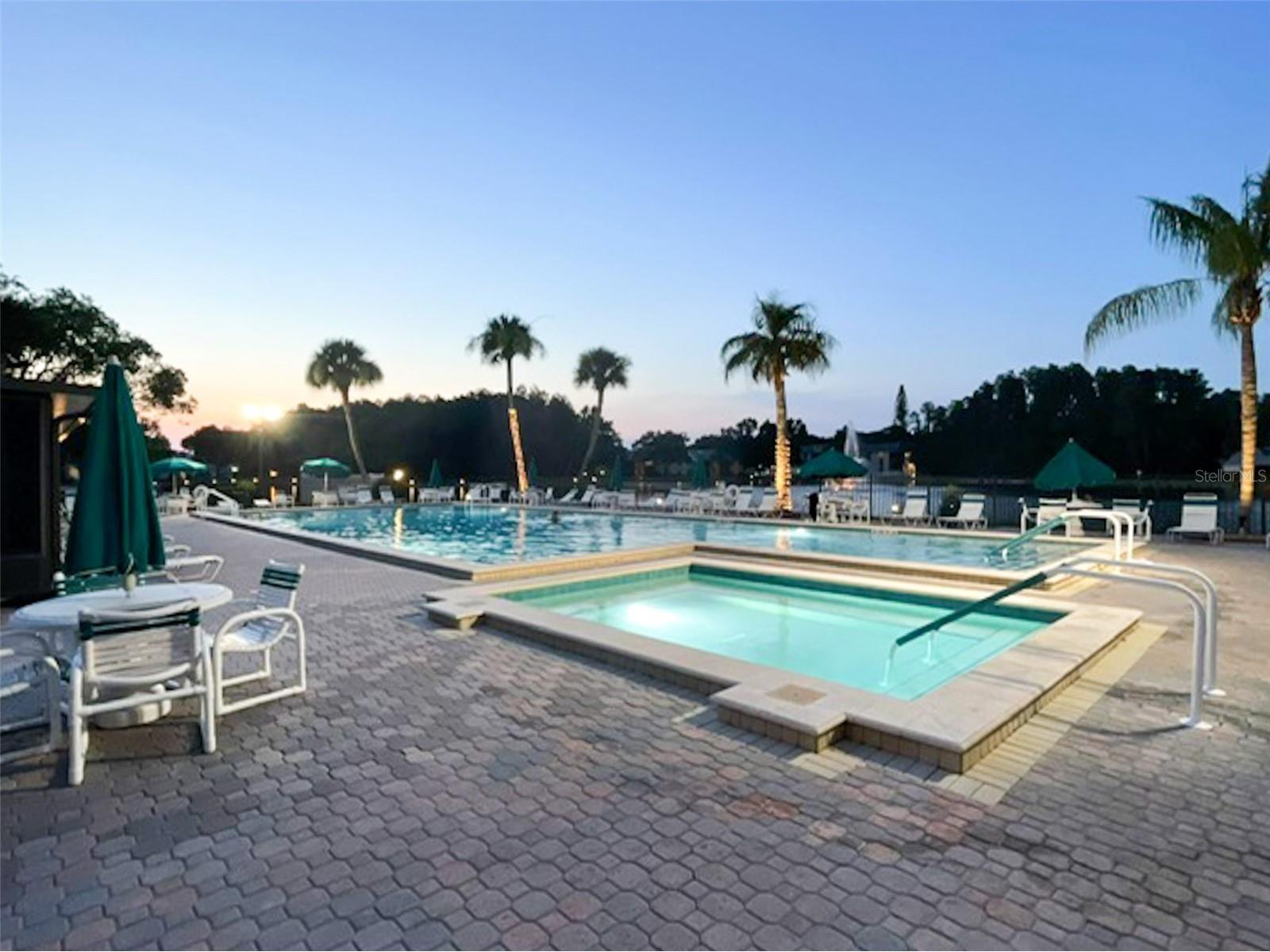 3134 Lake Pine Way #C2 Tarpon Springs FL 34688 TB8524810 image33