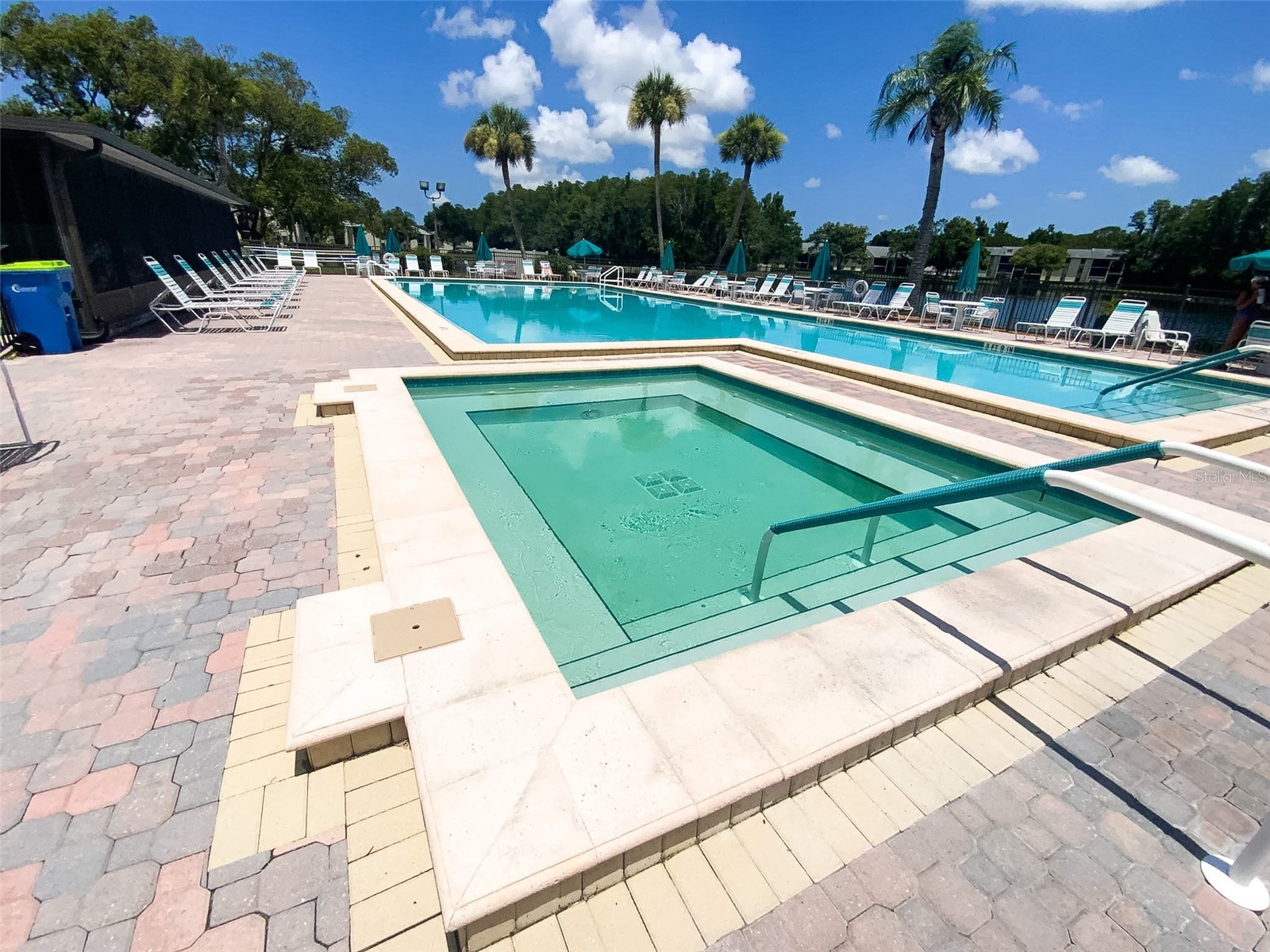 3134 Lake Pine Way #C2 Tarpon Springs FL 34688 TB8524810 image34
