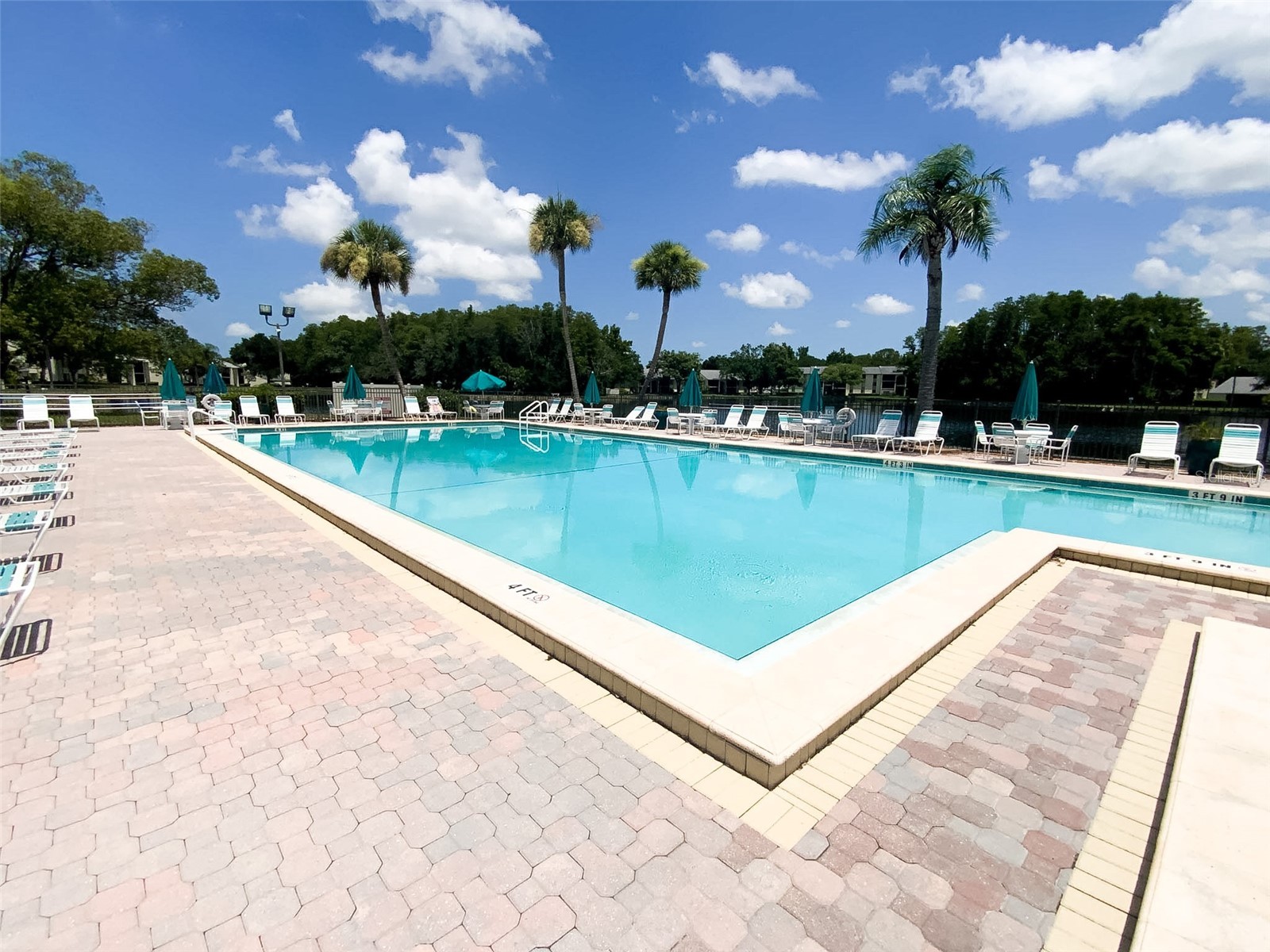 3134 Lake Pine Way #C2 Tarpon Springs FL 34688 TB8524810 image35