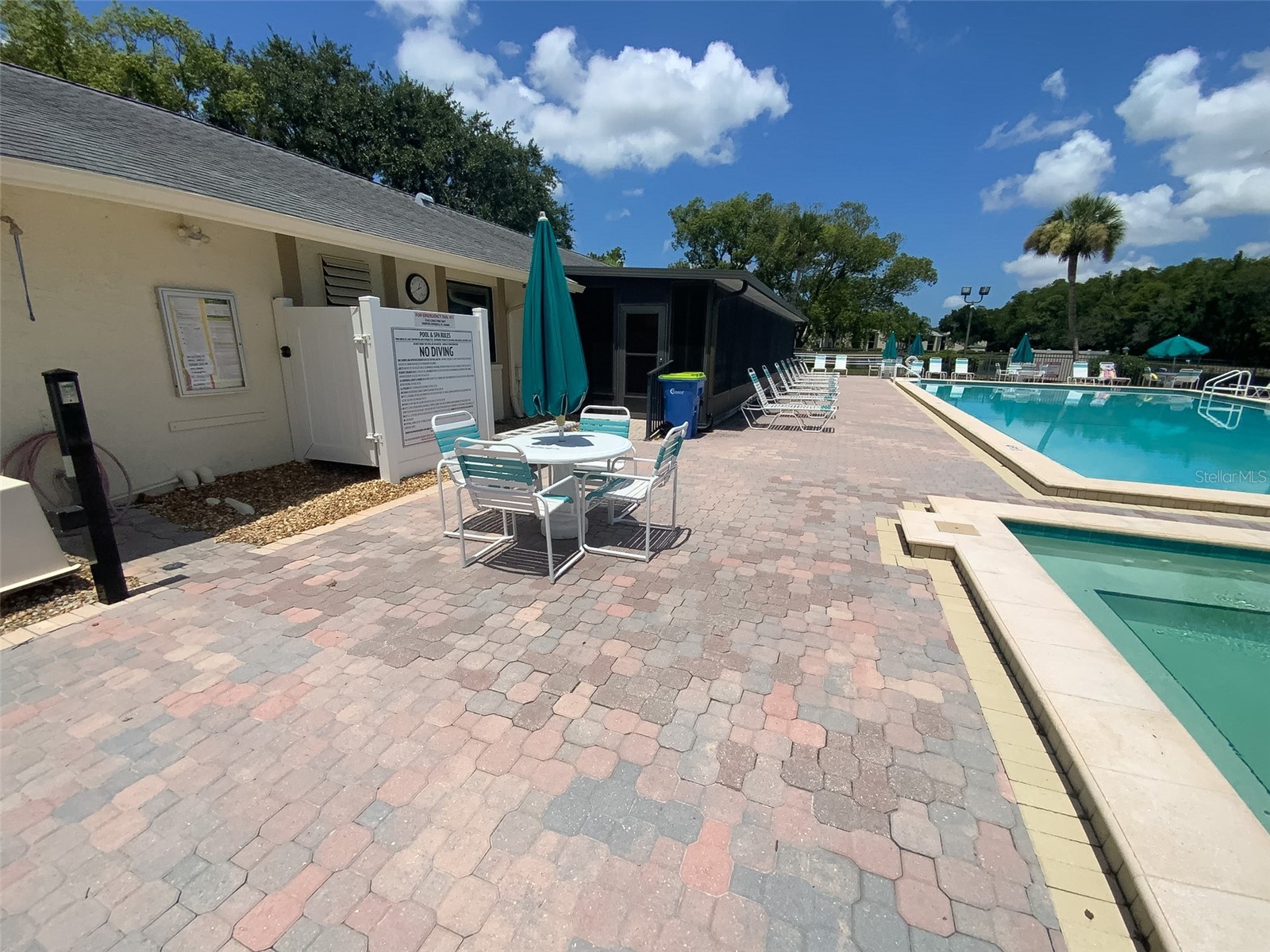 3134 Lake Pine Way #C2 Tarpon Springs FL 34688 TB8524810 image36