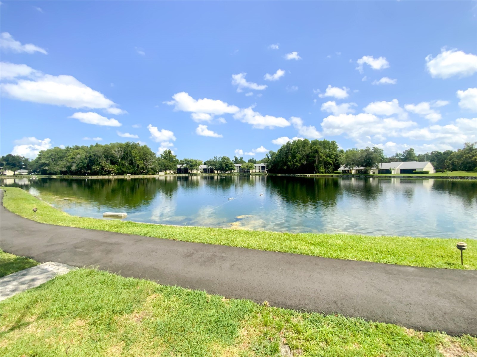 3134 Lake Pine Way #C2 Tarpon Springs FL 34688 TB8524810 image37