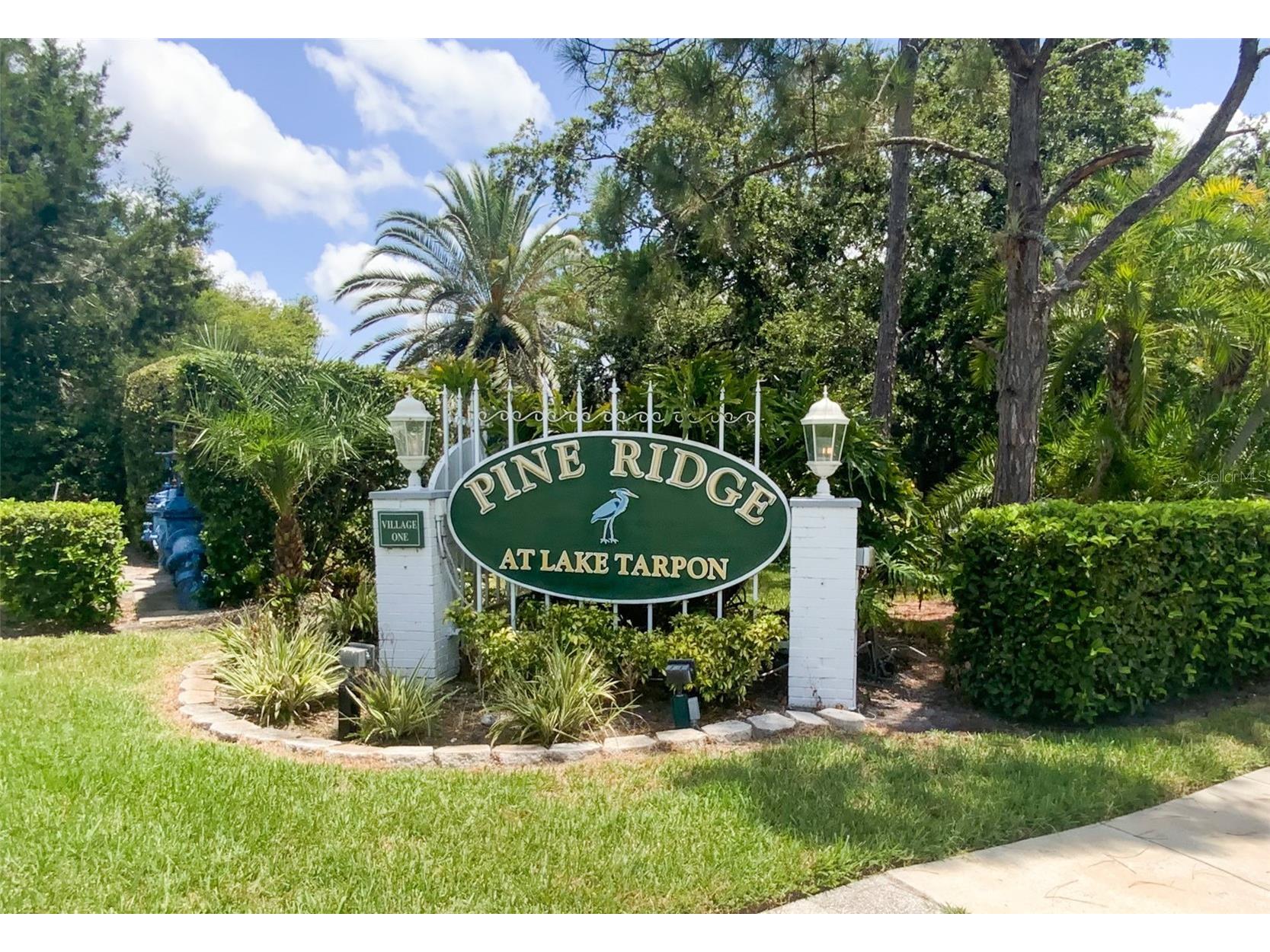 3134 Lake Pine Way #C2 Tarpon Springs FL 34688 TB8524810 image42