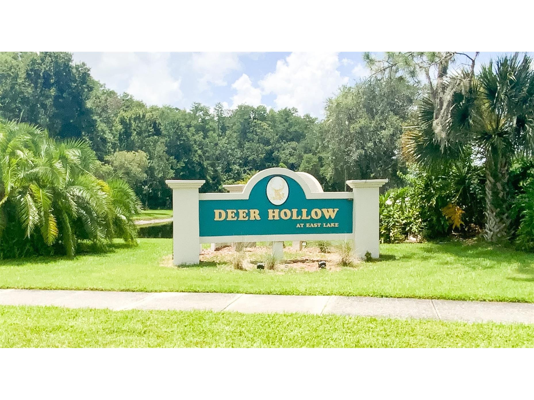 3134 Lake Pine Way #C2 Tarpon Springs FL 34688 TB8524810 image43