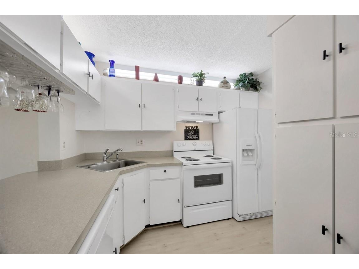 3134 Lake Pine Way #F2 Tarpon Springs FL 34688 W7876770 image10