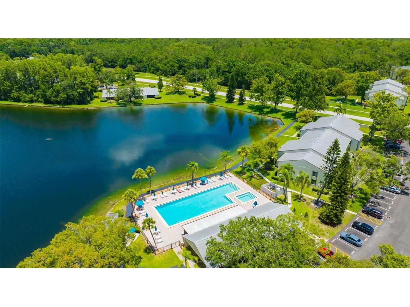 3134 Lake Pine Way #F2 Tarpon Springs FL 34688 W7876770 image24