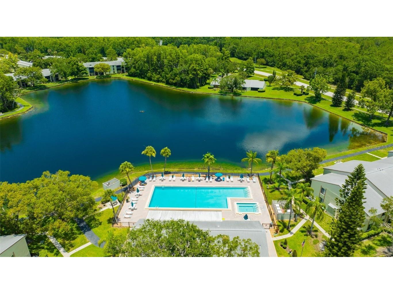 3134 Lake Pine Way #F2 Tarpon Springs FL 34688 W7876770 image25