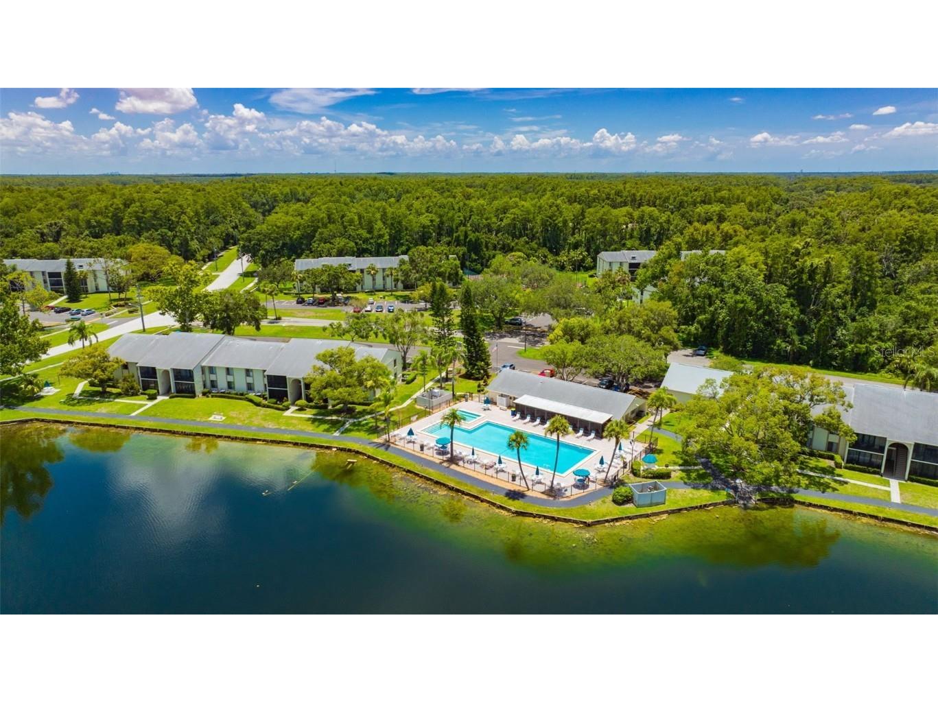 3134 Lake Pine Way #F2 Tarpon Springs FL 34688 W7876770 image32