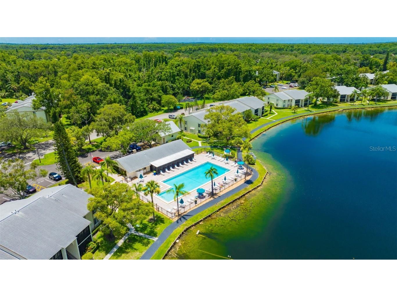 3134 Lake Pine Way #F2 Tarpon Springs FL 34688 W7876770 image33