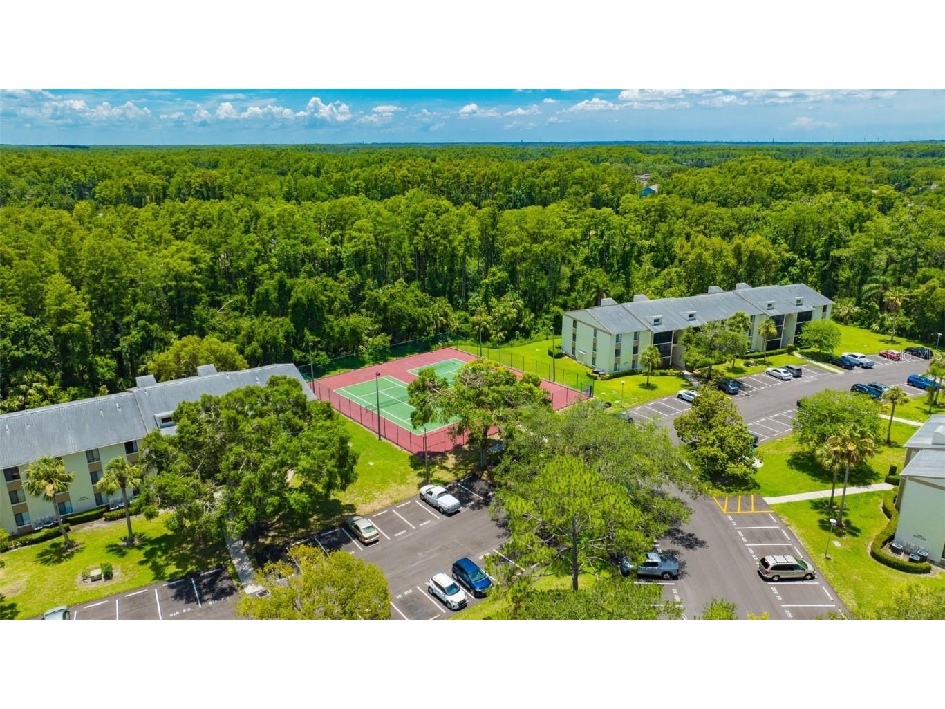 3134 Lake Pine Way #F2 Tarpon Springs FL 34688 W7876770 image34