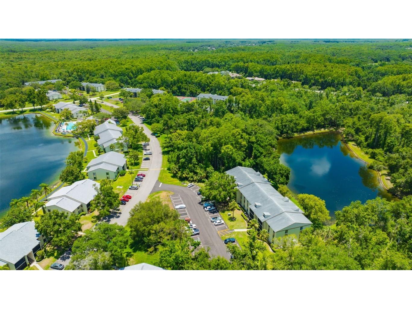 3134 Lake Pine Way #F2 Tarpon Springs FL 34688 W7876770 image35