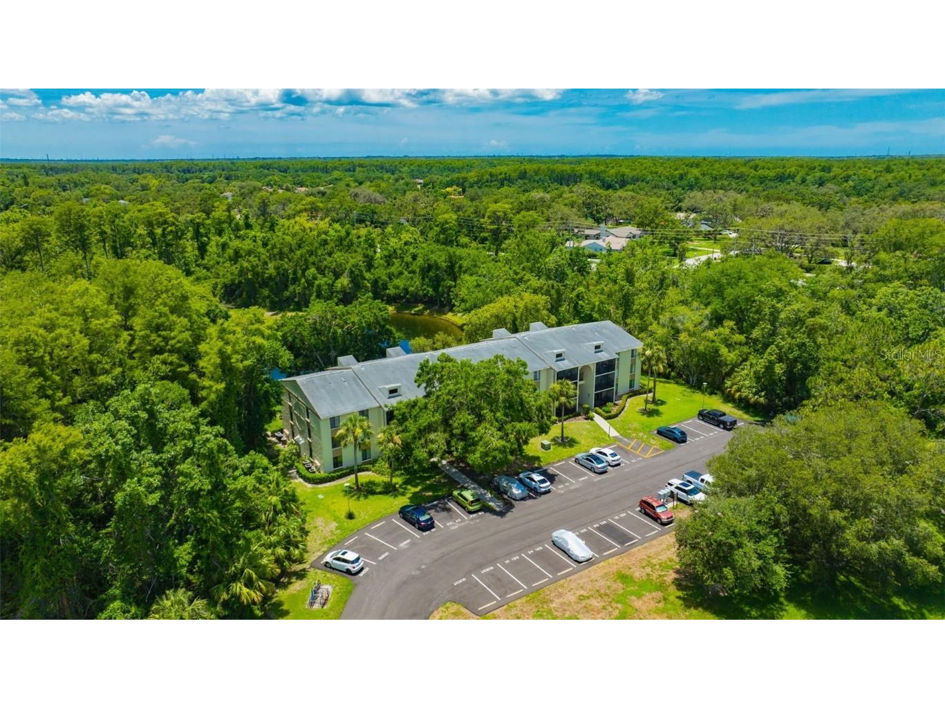 3134 Lake Pine Way #F2 Tarpon Springs FL 34688 W7876770 image36